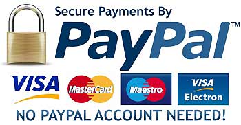 Secure PayPal Check out